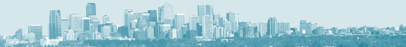 Calgary Panorama