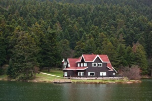 Cottage Insurance