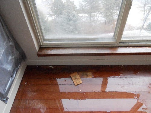 window leak - home insurance